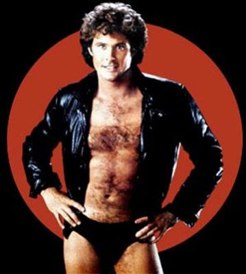 David Hasselhoff David Hasselhoff
